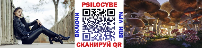 где продают наркотики  Грязи  mega ссылка  Псилоцибиновые грибы мицелий 